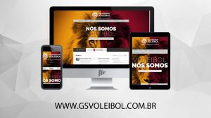 gsvoleibol.com.br